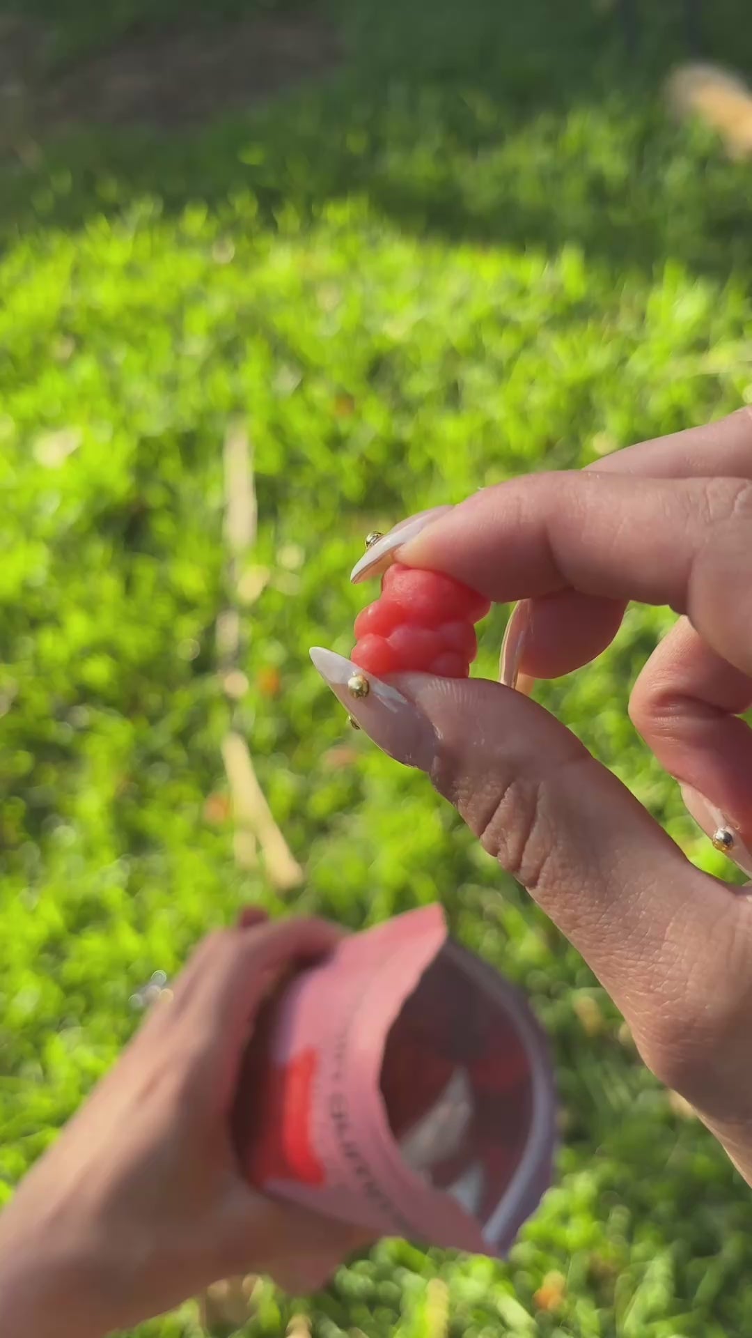 Grape Protein Gummies (3 x 102g Bags)